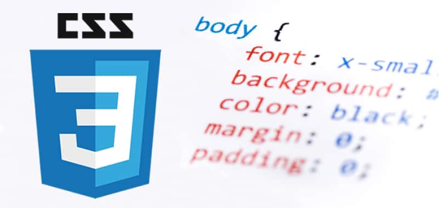 Imagen del logo CSS